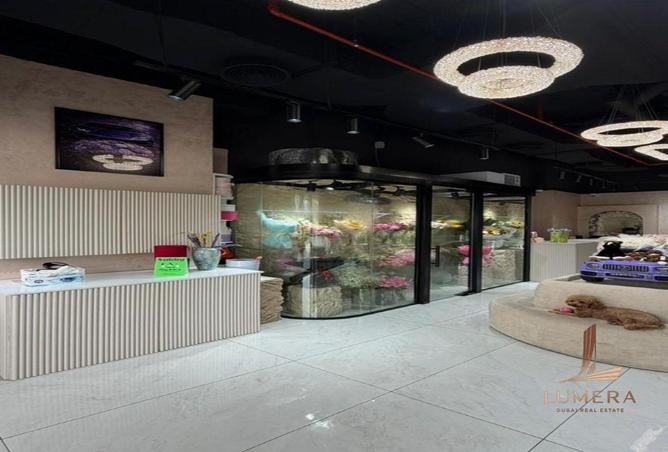 141915691 - Property Image 2