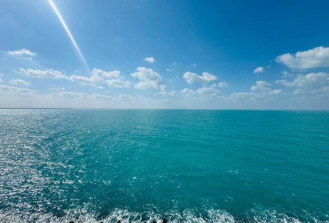 53193282 - صورة العقار 2