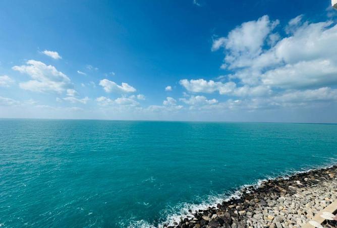 53193282 - صورة العقار 3