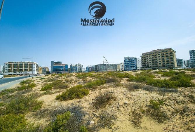 16217460 - صورة العقار 3