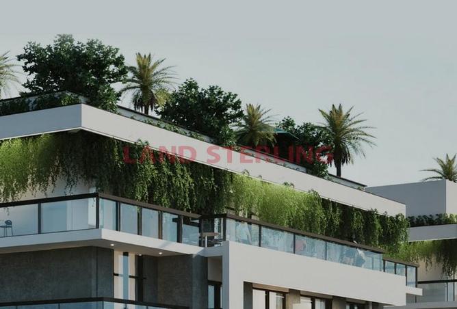 16127384 - Property Image 3