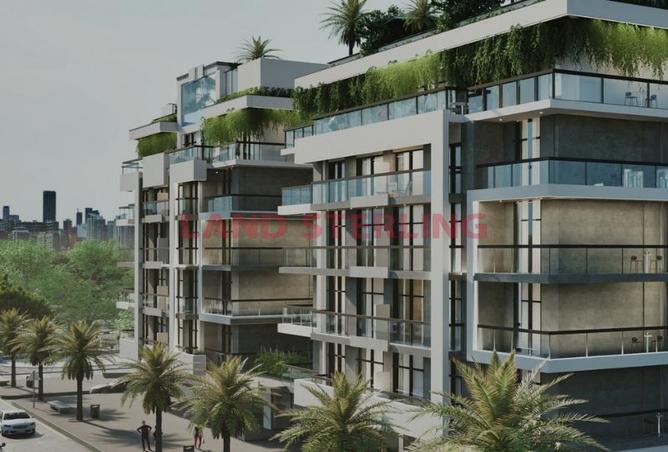 16127384 - Property Image 2