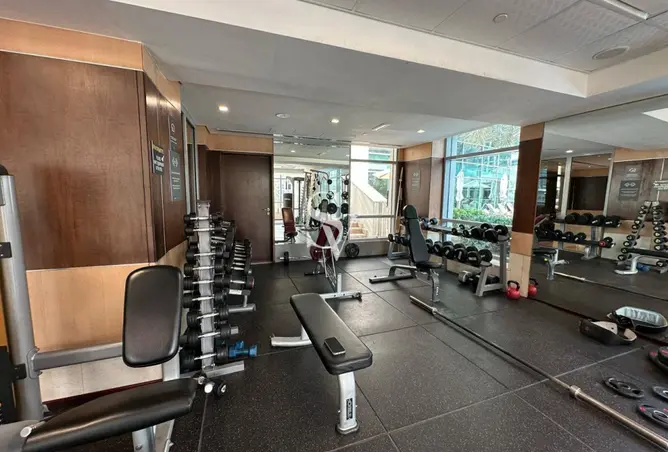 146466187 - Property Image 3