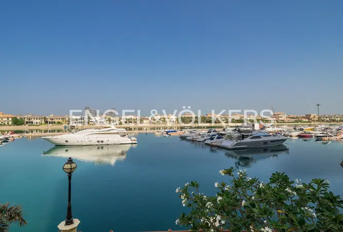 156907856 - صورة العقار 2
