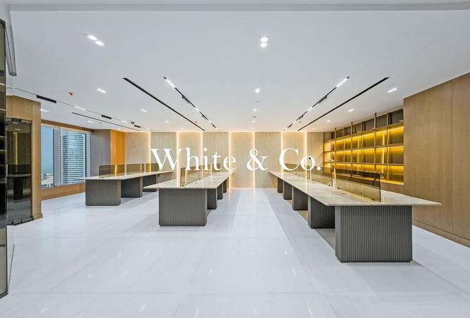 74233721 - Property Image 3