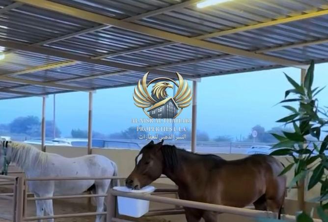 74254976 - صورة العقار 2