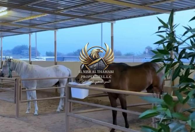 74254976 - صورة العقار 3