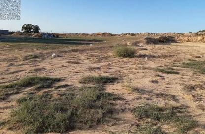 Land - Studio for sale in Al Mowaihat 3 - Al Mowaihat - Ajman