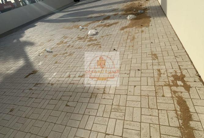 54385262 - Property Image 3