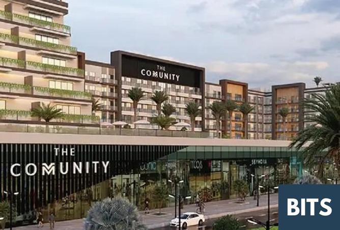 62870385 - Property Image 3