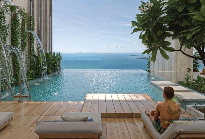 16265054 - Property Image 2