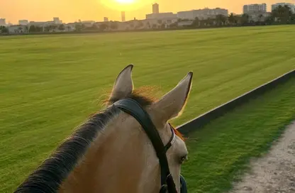 Villa - 3 Bedrooms - 4 Bathrooms for sale in Montura 2 - Grand Polo Club and Resort - Dubai Investment Park (DIP) - Dubai