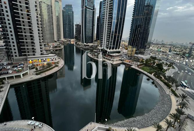 81521317 - صورة العقار 2