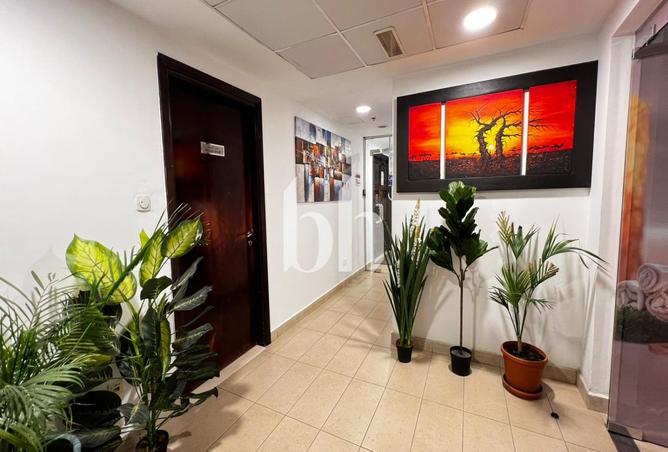 81521317 - صورة العقار 3