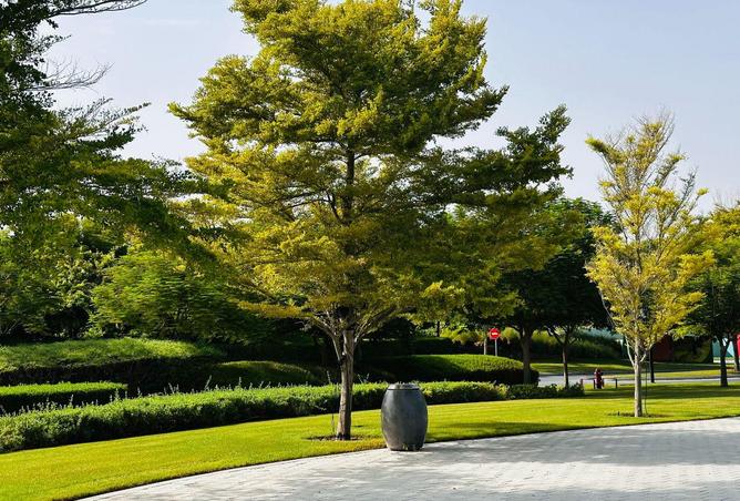 16299357 - صورة العقار 3