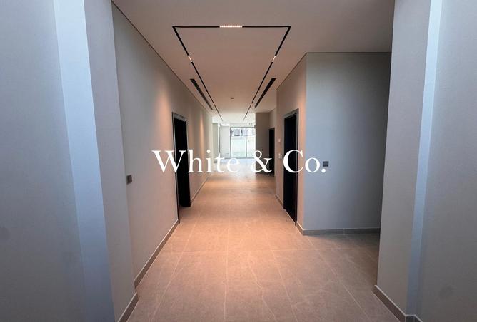 115469649 - Property Image 3