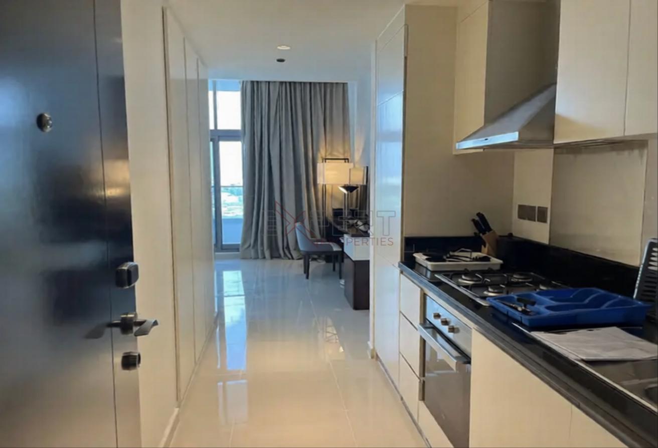 Fully Furnished Studio|Bright Layout|Balcony Views photo 9