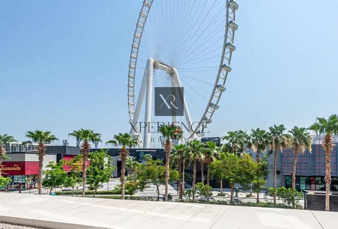 63254608 - الصورة الرئيسية للعقار