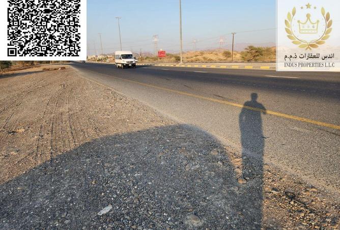 16234332 - Property Image 2