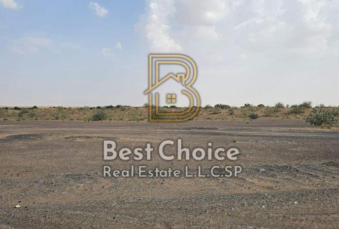 135601613 - Property Image 2
