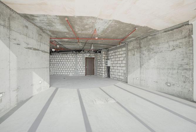 16254747 - Property Image 3