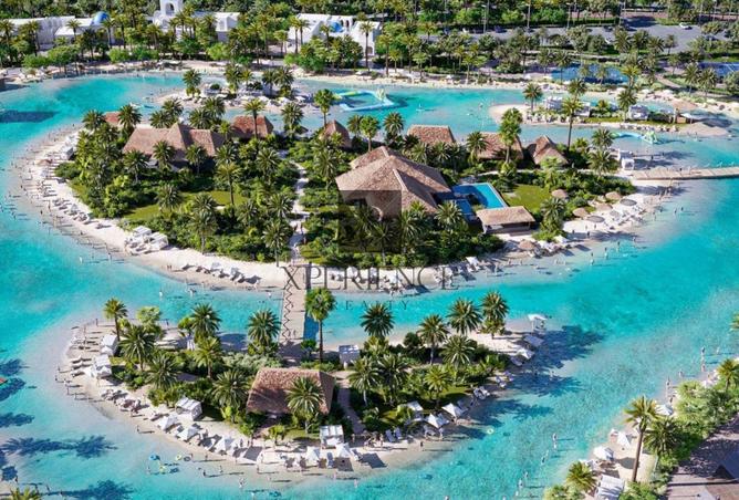 80251834 - صورة العقار 2