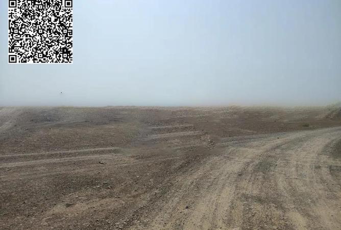 56141791 - Property Image 3