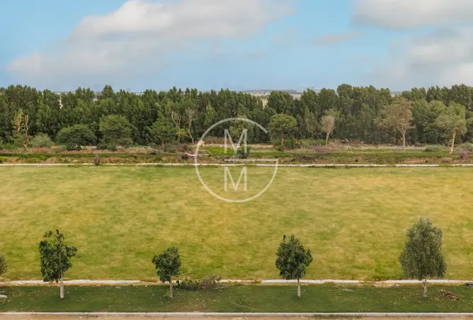145530961 - Property Image 3