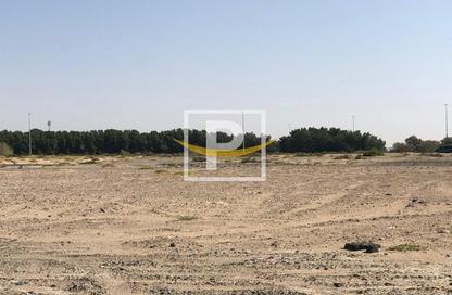 أرض - استوديو للبيع في 1 الورسان - الورسان - دبي