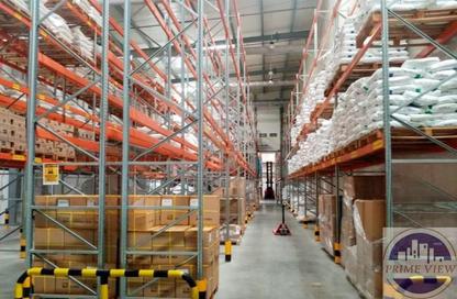 Warehouse - Studio for rent in Freezone North - Jebel Ali Freezone - Jebel Ali - Dubai Warehouse - Studio for rent in Freezone North - Jebel Ali Freezone - Jebel Ali - Dubai