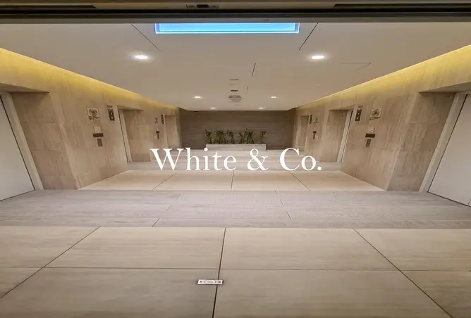 113264301 - Property Image 3