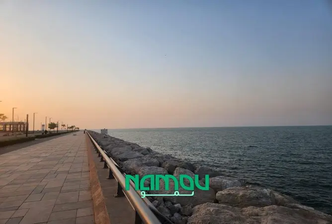 113260777 - Property Image 3