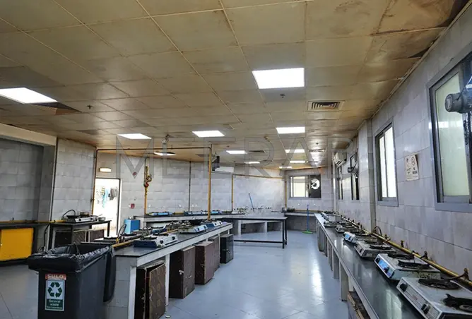 166045676 - Property Image 3