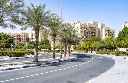 Apartment - Studio - 1 for rent in Al Thamam 57 - Al Thamam - Remraam - Dubai