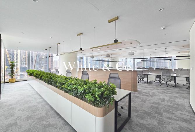 16055812 - صورة العقار 2