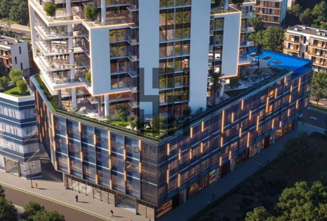 132517175 - Property Image 2