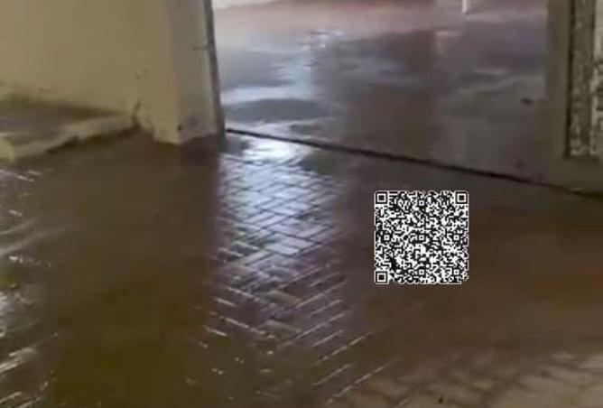 96072706 - صورة العقار 2