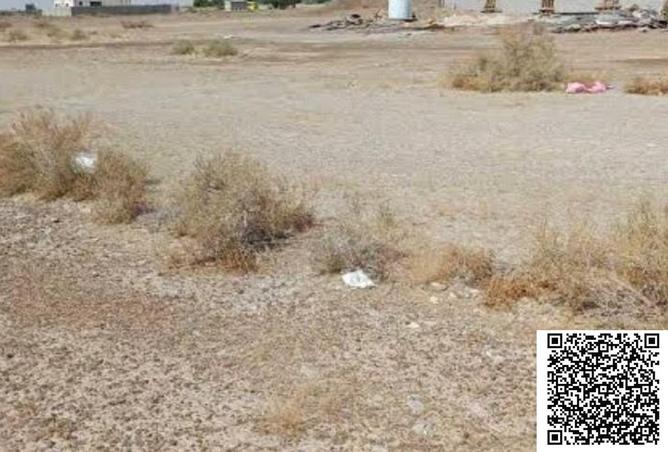 62093341 - Property Image 3