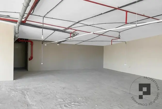 151337774 - Property Image 2