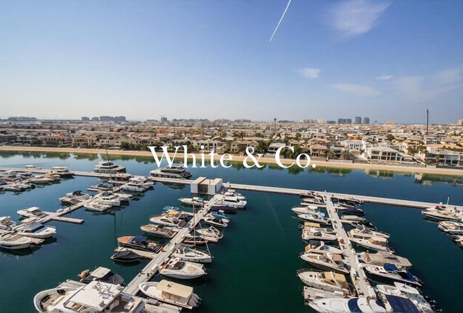 65181521 - Property Image 2