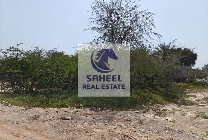 60523676 - Property Image 2