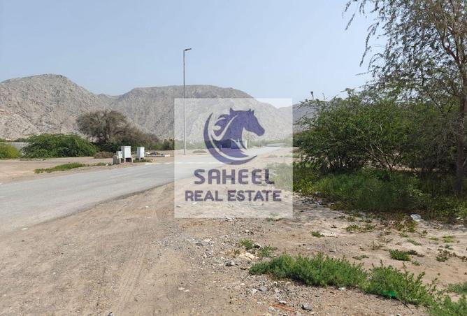 60523676 - Property Image 3