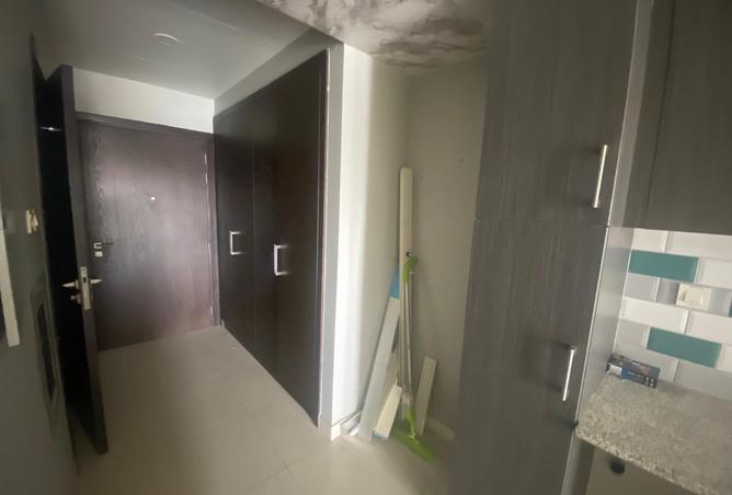 16276258 - Property Image 3