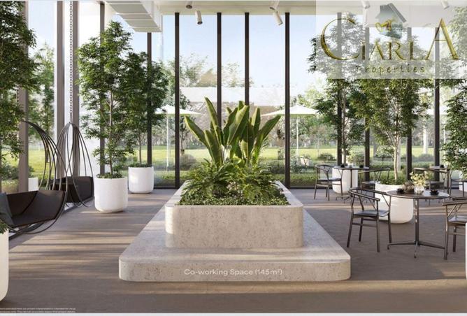 16184578 - Property Image 3