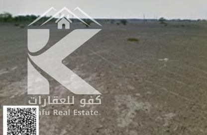 أرض - استوديو للبيع في المنامة - عجمان