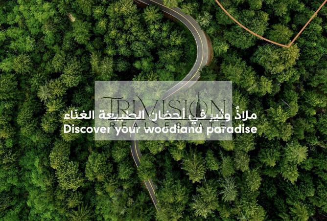 16251598 - صورة العقار 3