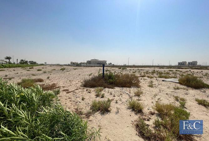 16133549 - Property Image 3