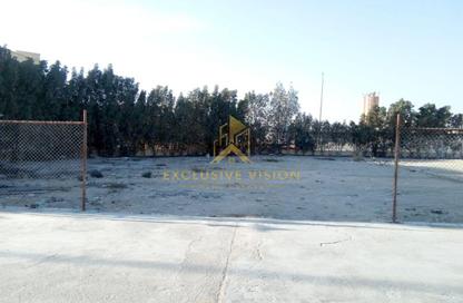 Land - Studio for rent in Jebel Ali Industrial 1 - Jebel Ali Industrial - Jebel Ali - Dubai