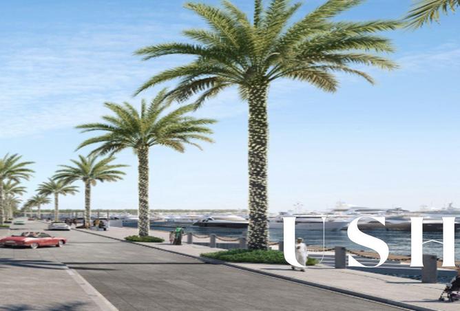 16320287 - Property Image 2