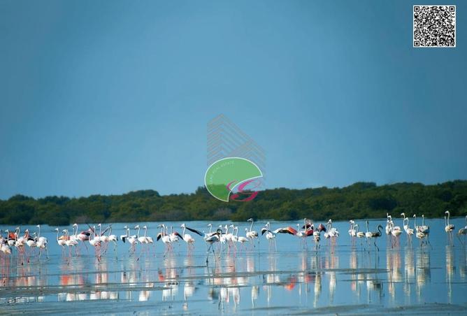 16264104 - صورة العقار 2